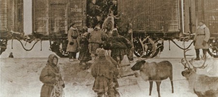 Оленно-транспортные батальоны в годы Великой Отечественной войны